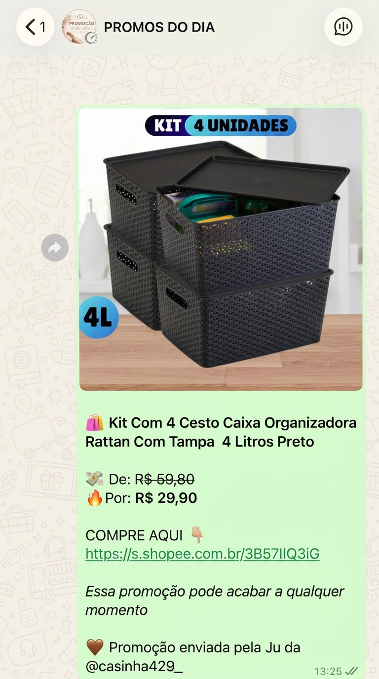 Kit de cestos organizadores em promoção